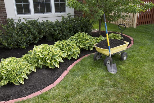 Landscaping 8 Money-Saving Tips