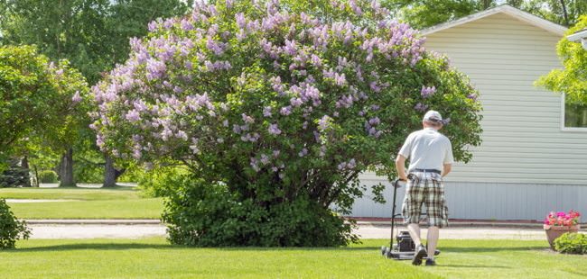 Yard & Gardening Questions for Buyers to Ask