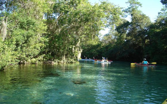 Paddle sports becoming more and more popular