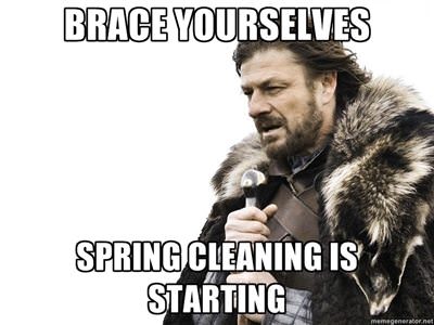 Spring Cleaning Guides Galore