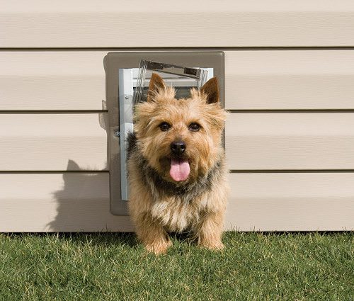 Selecting the best Pet Door