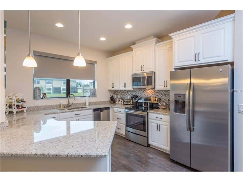 11625 CROWNED SPARROW LN, TAMPA, FL 33626 kitchen