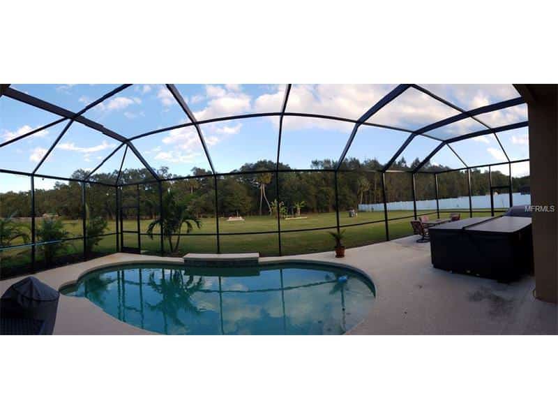 pool 9462 SWIFT CREEK CIR, DOVER, FL 33527