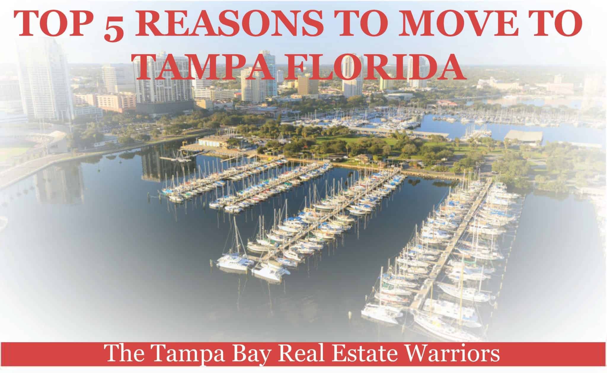 Top 5 Reasons to Move to Tampa