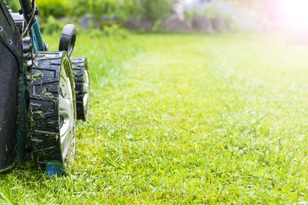 Tricks for Reviving Your Lawn After Winter