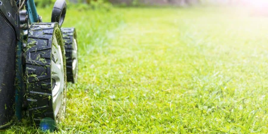 Tricks for Reviving Your Lawn After Winter