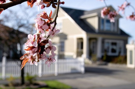 Spring Maintenance Suggestions for Your Home