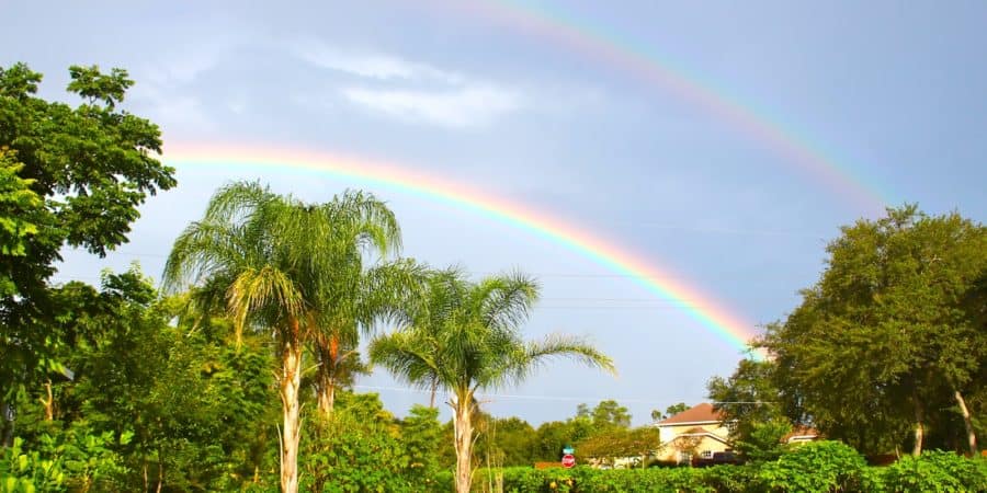 With Rain, You Get Rainbows